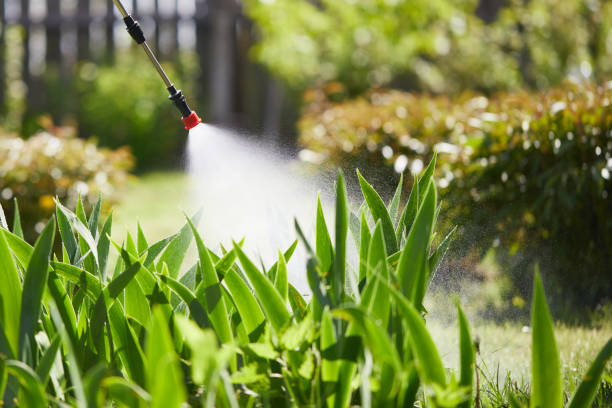 24/7 Emergency Mosquito Control experts in Odell, OR
